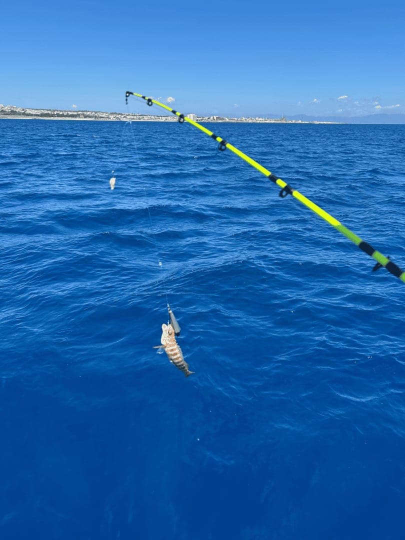 Fishing trip photo from Dimitris Fishing Trips Rhodes