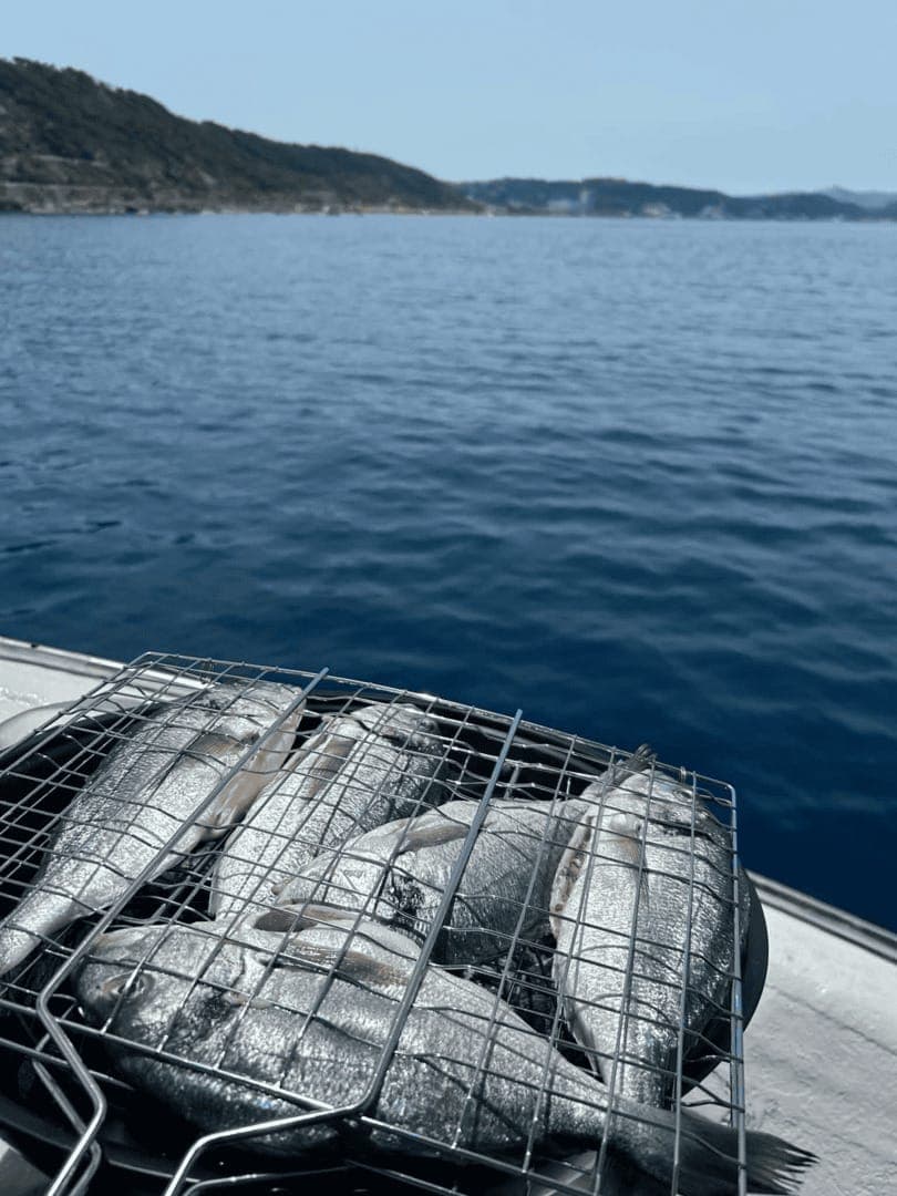 Fishing trip photo from Dimitris Fishing Trips Rhodes