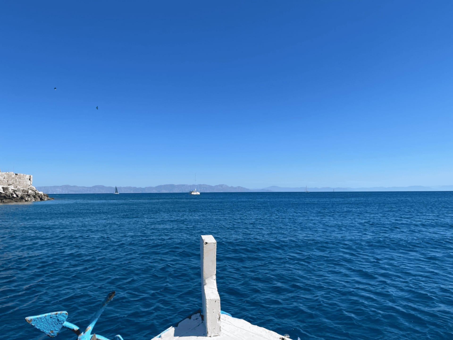 Fishing trip photo from Dimitris Fishing Trips Rhodes